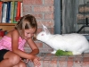 blog_bunny3.jpg